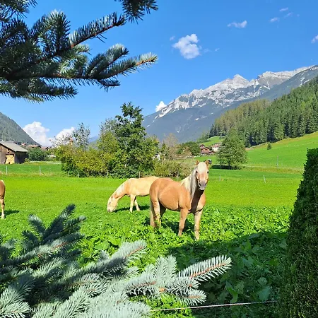 Appartement Pfeifer