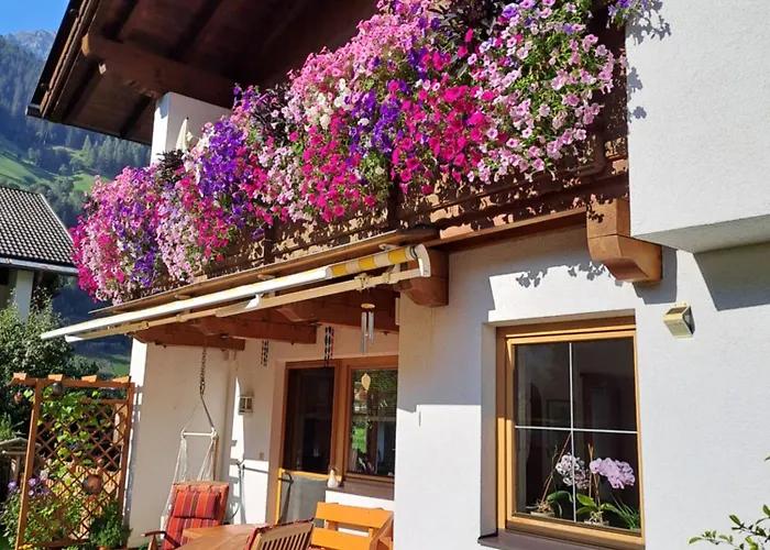 Pfeifer Rehoboth Beach