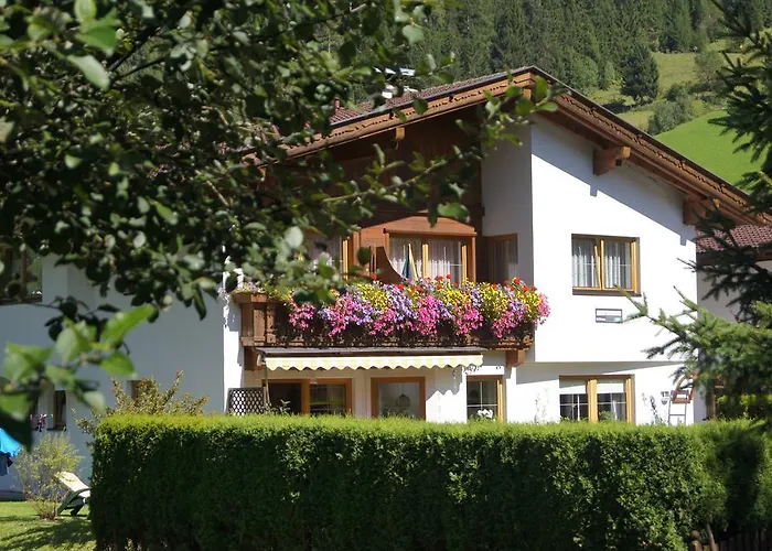 Pfeifer * ניוסטיפט אים סטובאיטל