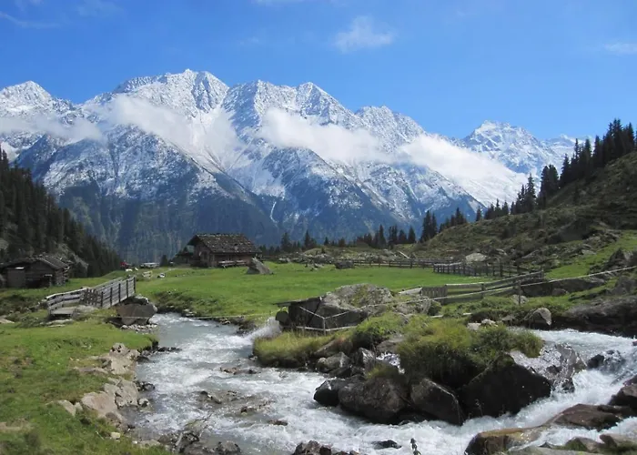 Pfeifer * ניוסטיפט אים סטובאיטל