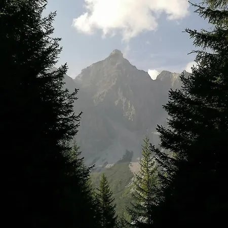 Appart Pfeifer *