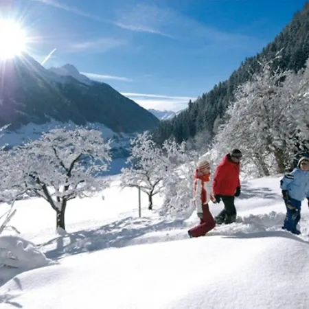 Appart Pfeifer * Neustift im Stubaital