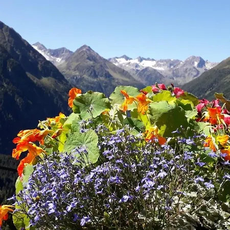 Pfeifer Апартаменти