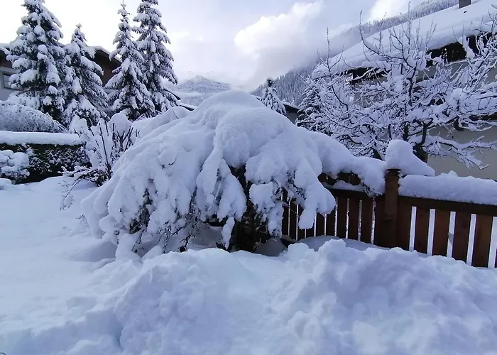 Pfeifer Appartement *