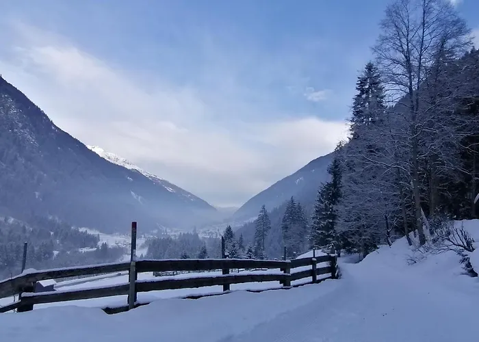 Pfeifer Appartement *